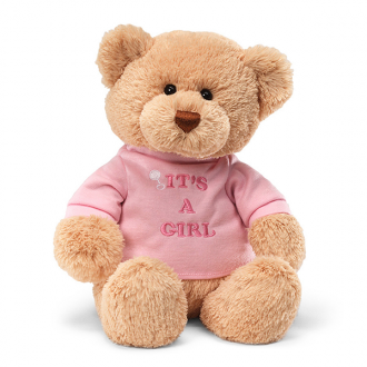It's a Girl Gund Teddy Bear