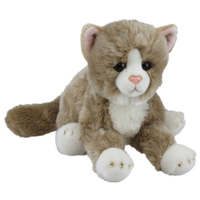 Beige Cat Lying