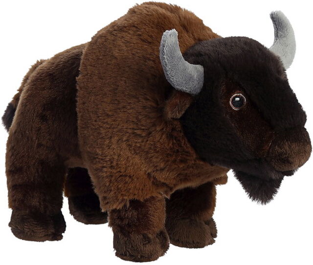 Bison