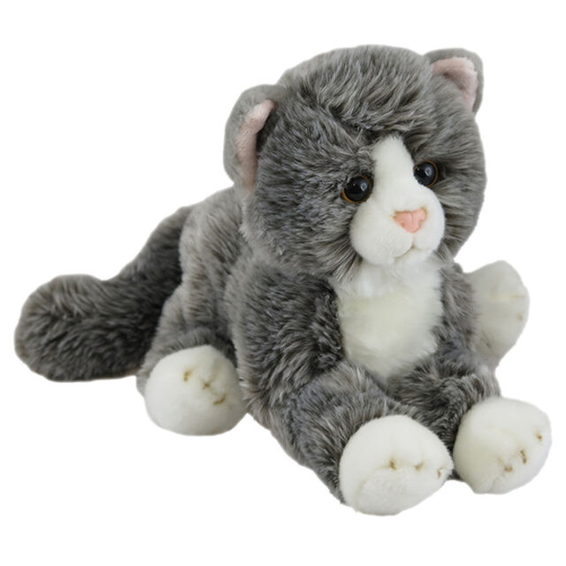 Grey Cat Lying
