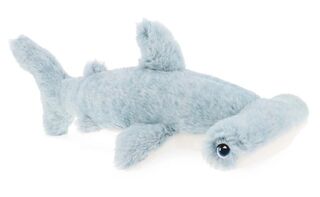 Hammerhead Shark