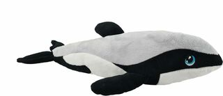 Hector's Dolphin