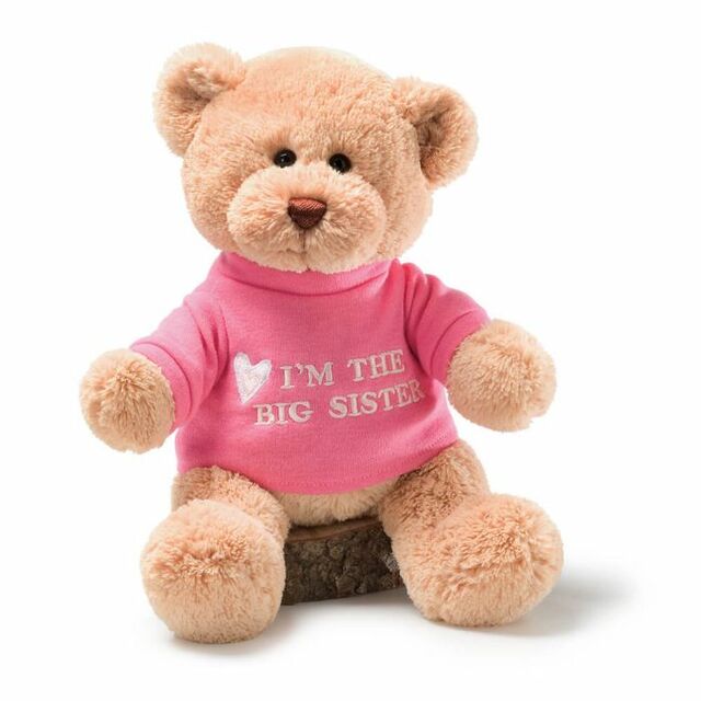 I'm the Big Sister Bear