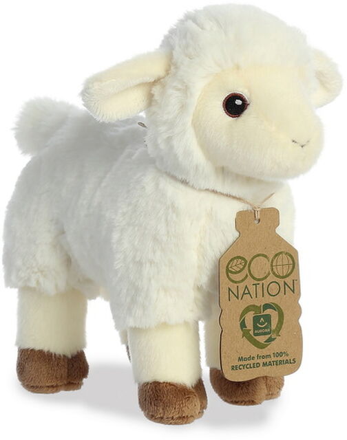 Lamb