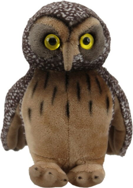 Morepork with Sound