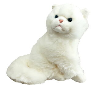 White Cat Sitting