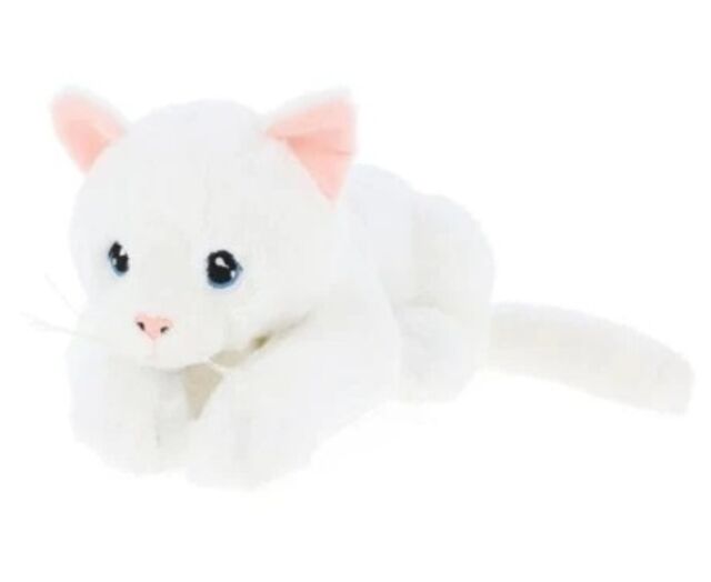 White Kitten