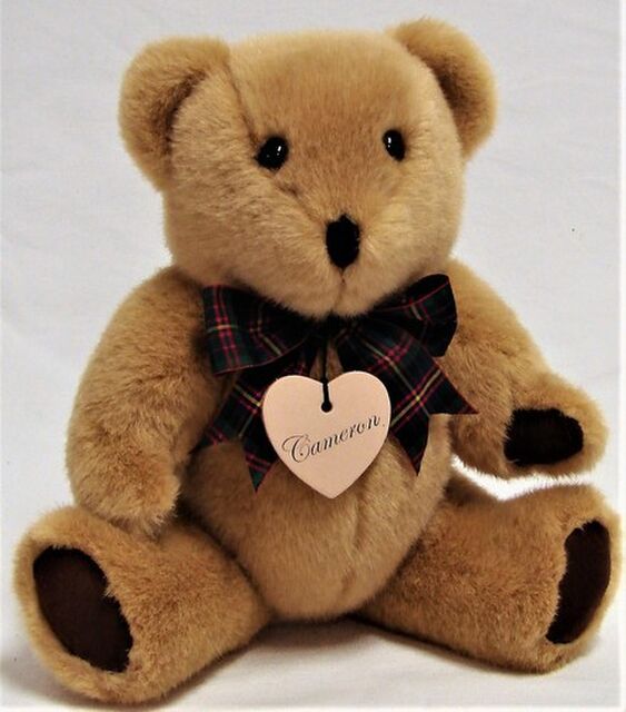 Cameron Teddy Bear