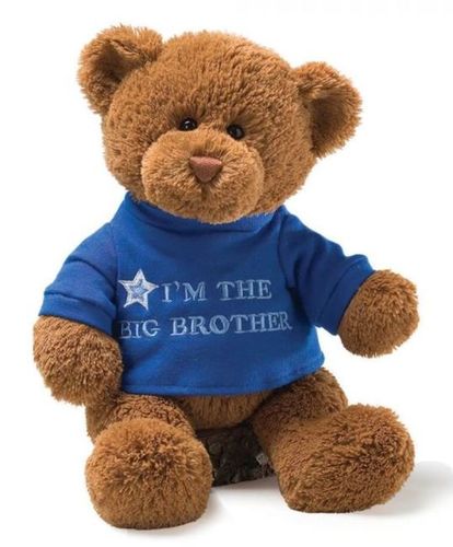 Big Brother Teddy Bear