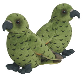 Kea Sound Bird
