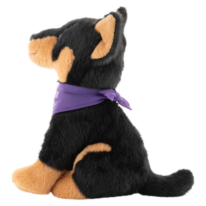 Kelpie Dog