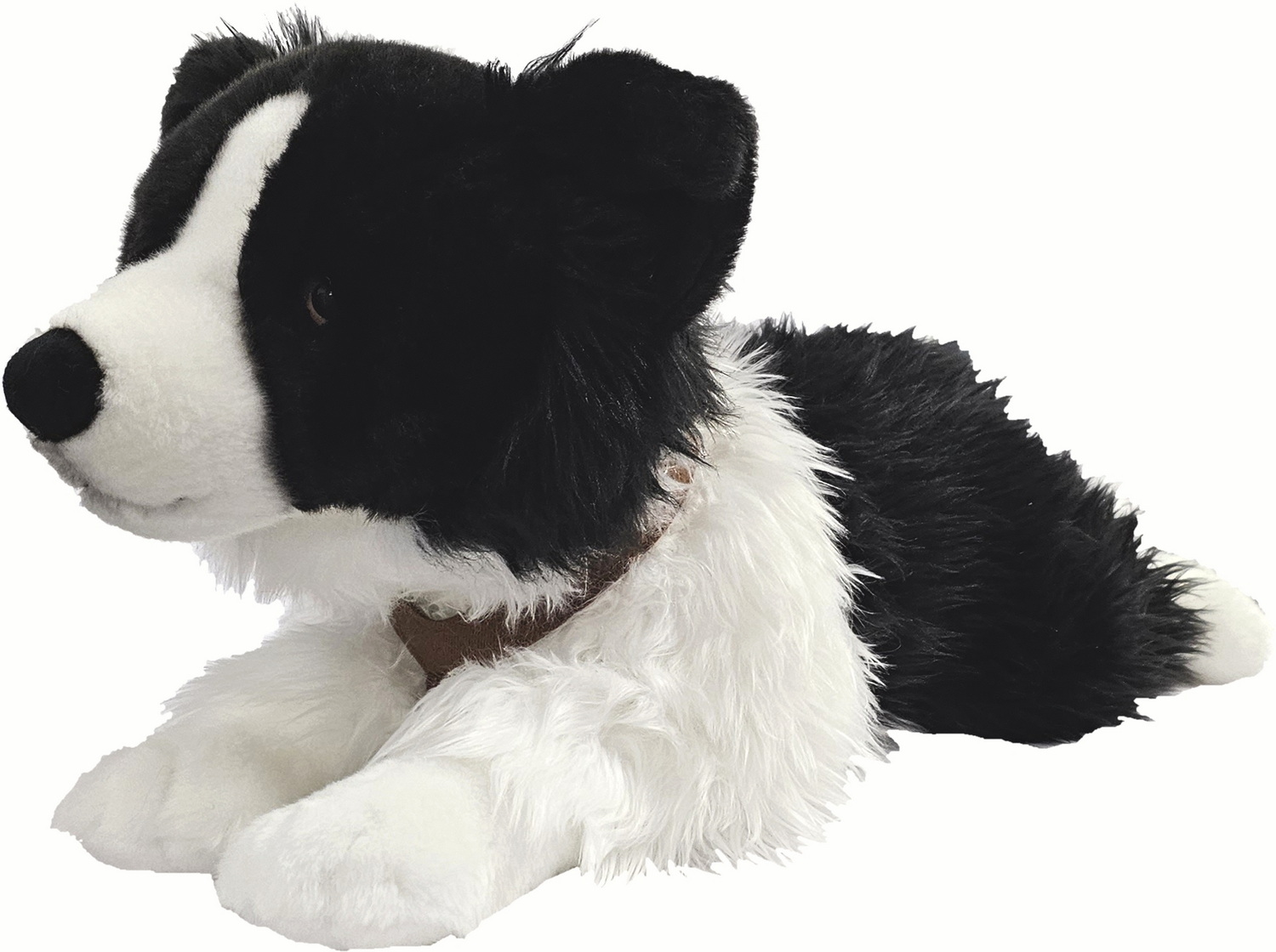 Large Border Collie with Harness