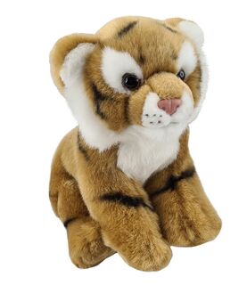 Baby Tiger Cub