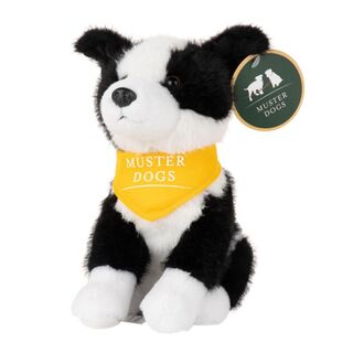 Border Collie Muster Dogs
