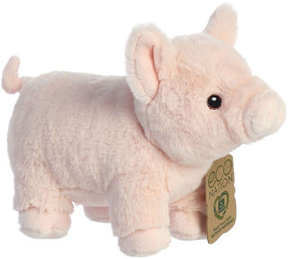 Eco Nation Pig
