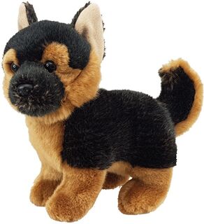 German Shepherd Puppy