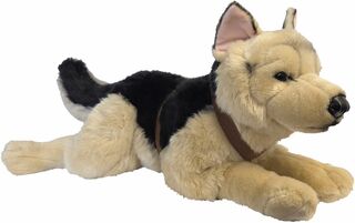 German Shepherd with harness