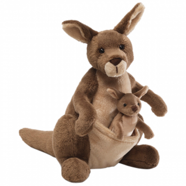 Kangaroo with Joey