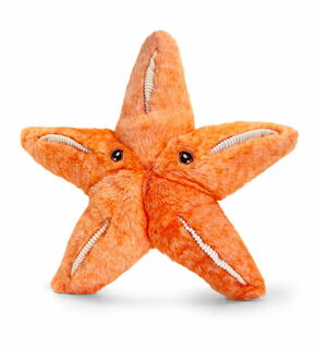 Keeleco Starfish
