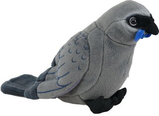 Kokako Sound Bird