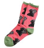 Lab or Of Love Socks