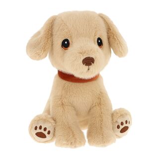 Labrador Puppy