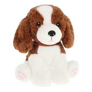 Spaniel Puppy