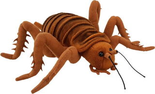 Insect Soft Toys
