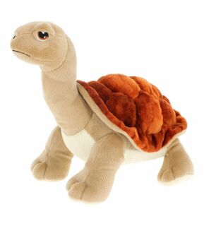 Tortoise