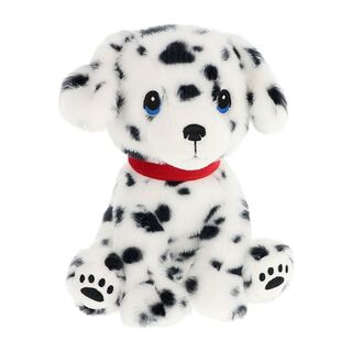 Dalmatian Puppy